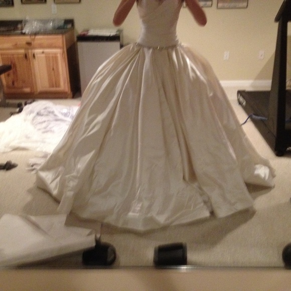 Pnina Tornai Wedding Dress Kleinfeld - Picture 4 of 4